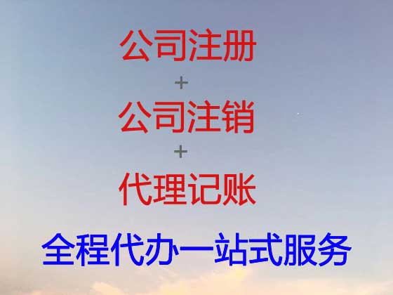 海宁公司个体户注册-公司减资变更
